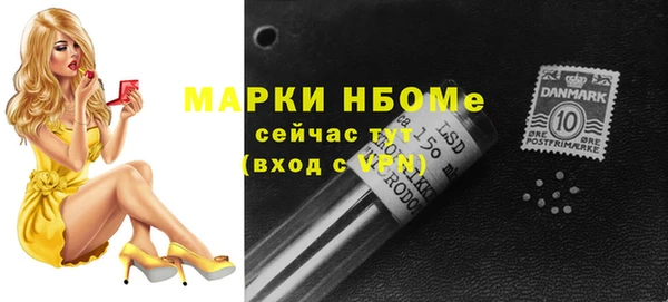 соль ск Верхний Тагил