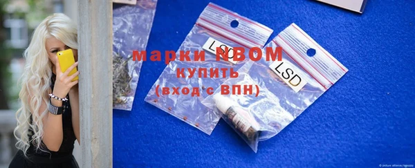 индика Володарск