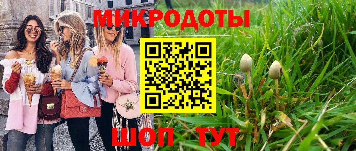 Гагарин  Псилоцибиновые грибы Magic Shrooms  купить наркотики цена  Вход с VPN 